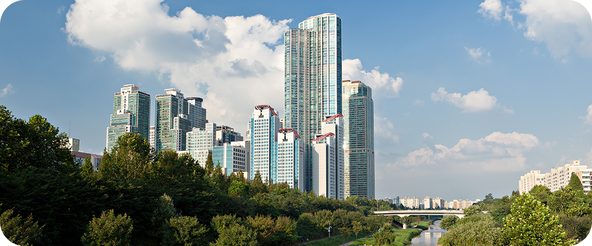 정상시야
