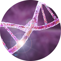 DNA